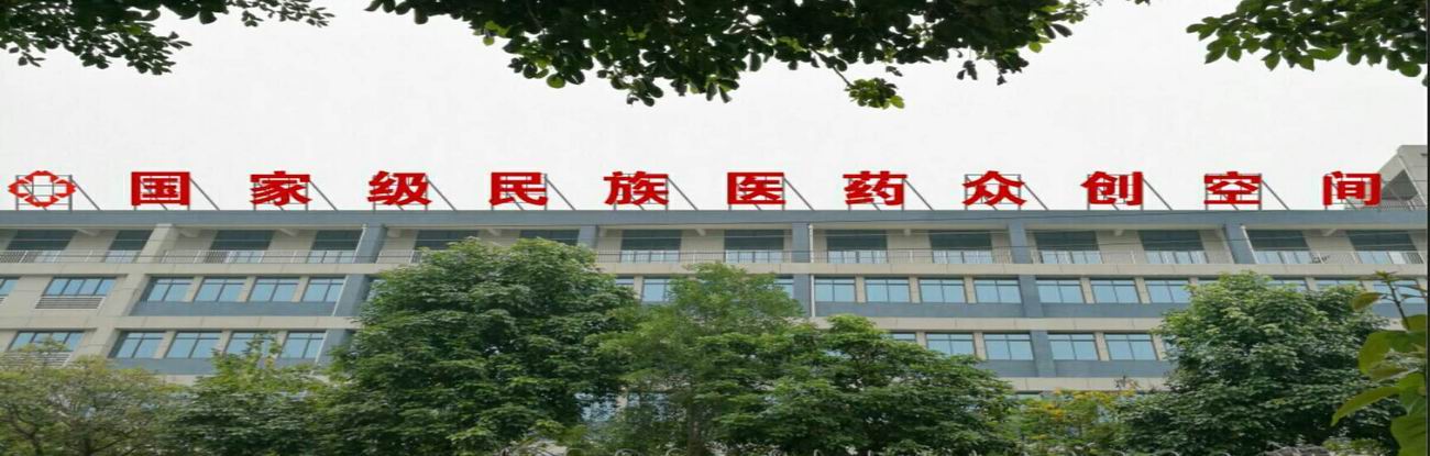 广西茶香道文化传播有限公司-又一个国家级民族医药众创空间站点